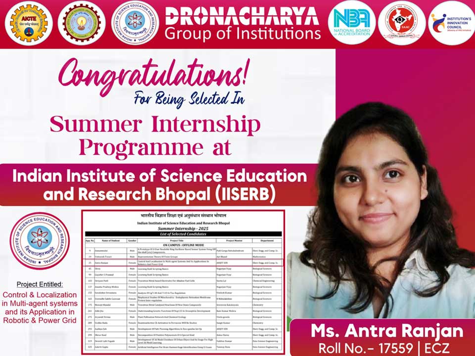 Summer Internship