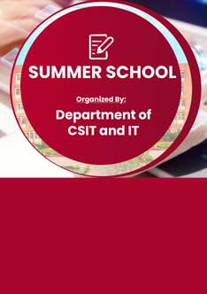 Summer Internship