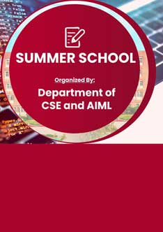 Summer Internship